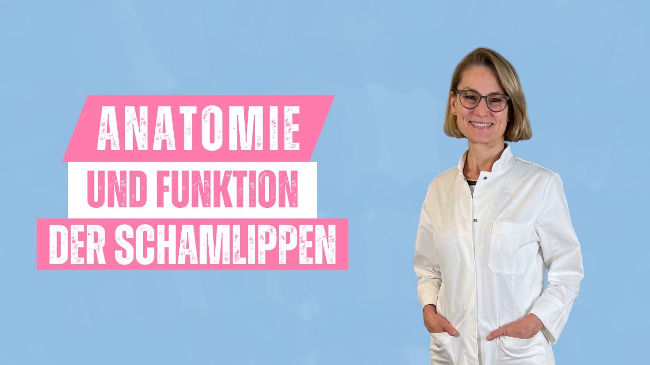Funktion und Anatomie der Schamlippen - Prof. Mira klärt auf