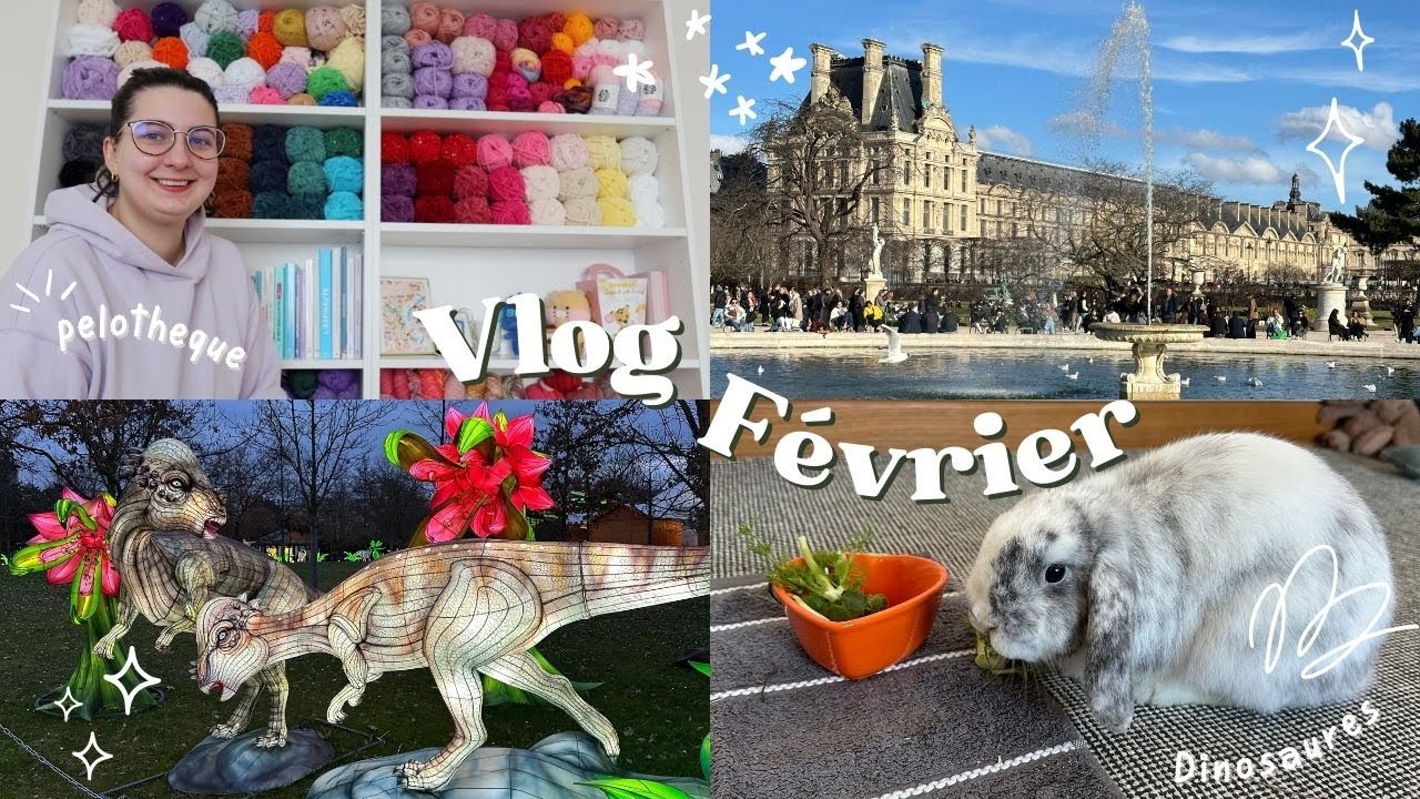 Monthly Vlog : Février 🧶