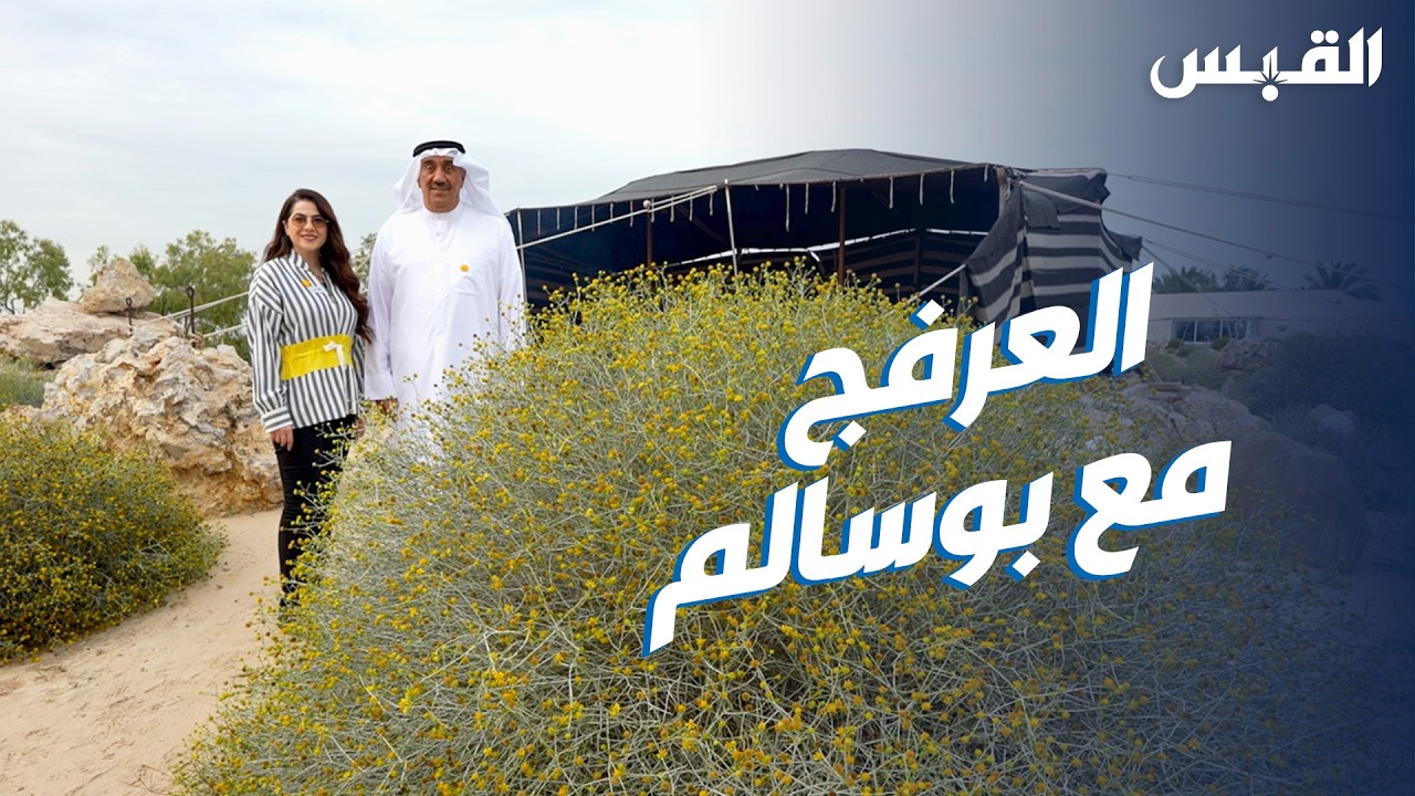 بيبي في محمية زهرة العرفج.. رمز الصمود الوطني