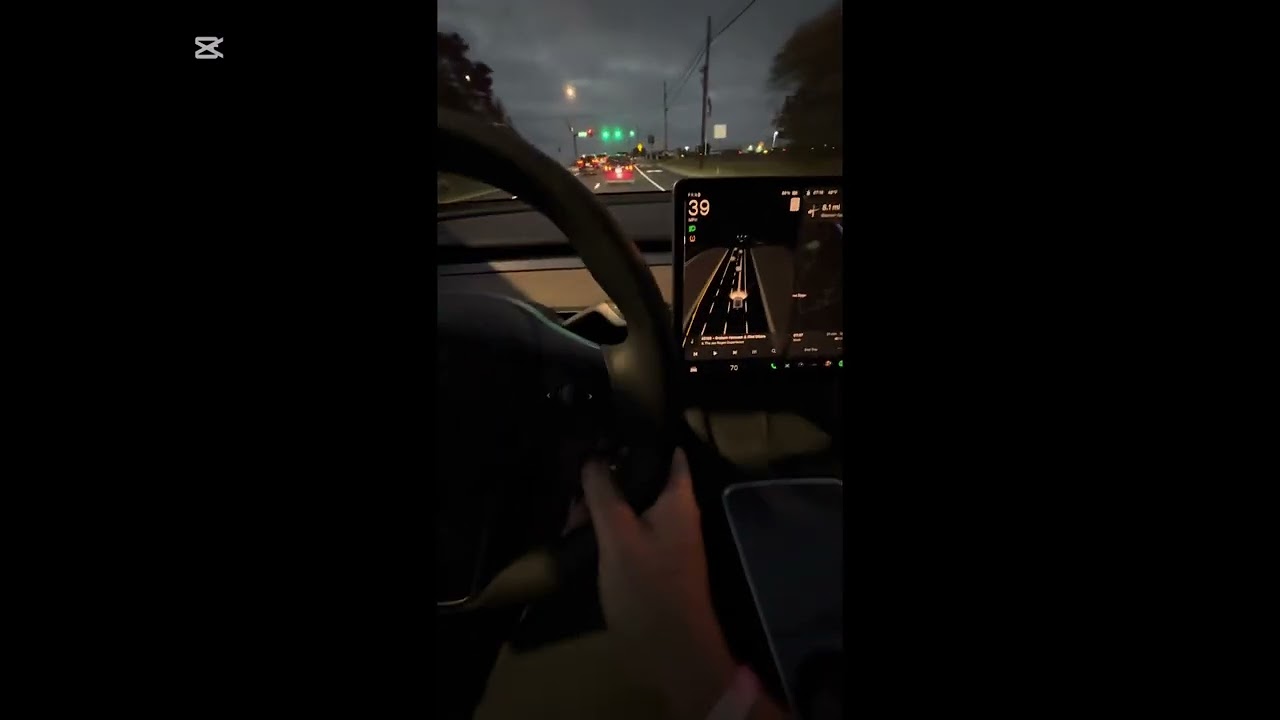 2024 Tesla Y Performance (self driving)