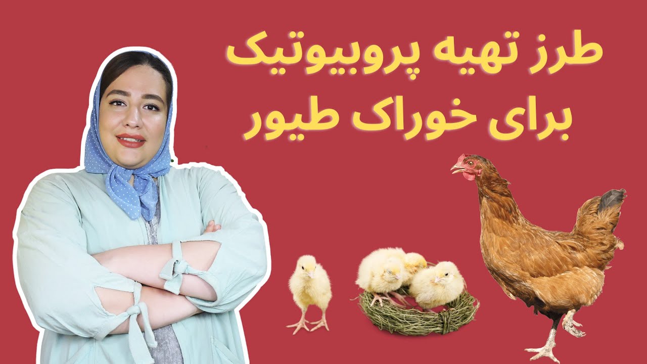 طرز تهیه پروبیوتیک برای خوراک پرندگان | اهمیت وجود پروبیوتیک در جیره پرندگان