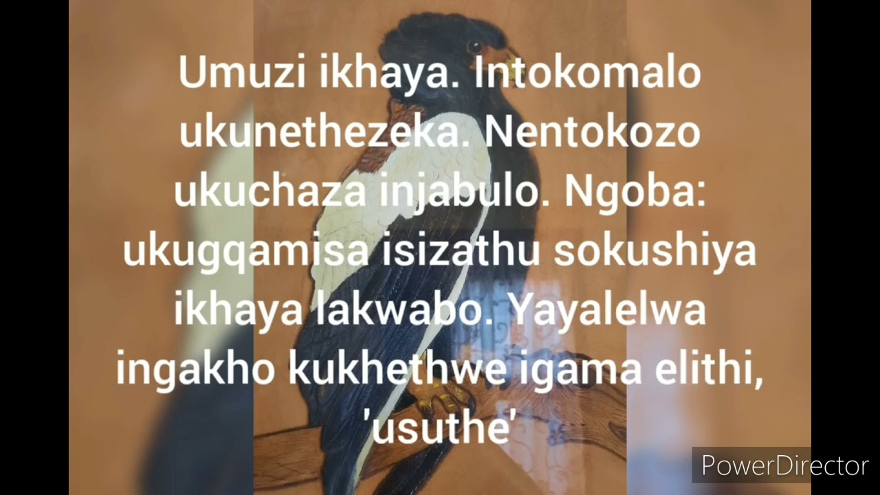 Inkondlo: Baba Wabantabami: Ukuchaza ukukhethwa kwamagama. Ibanga le-11
