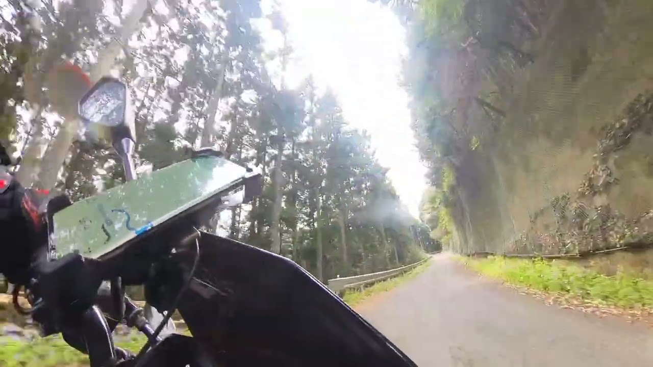 埼玉県吾野　林道苅場坂線 20230405