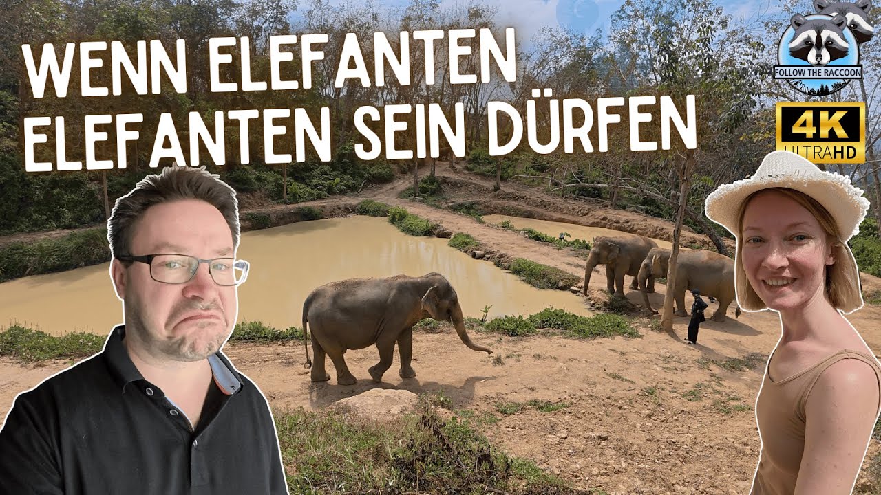Thailand Vlog – Teil 14: Hidden Forest Elephant Reserve – Majestätisch im Matsch