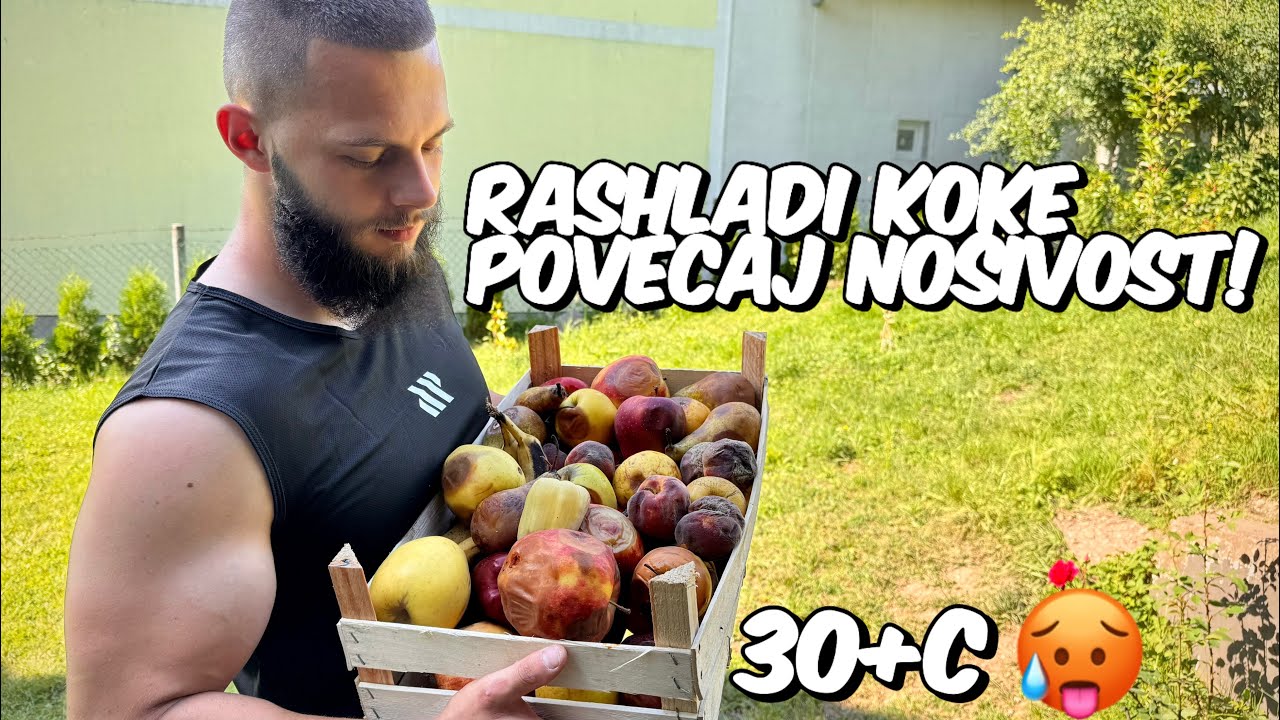 Kako Održati Nosivost Tokom Ljeta! Sladoled Za Koke!