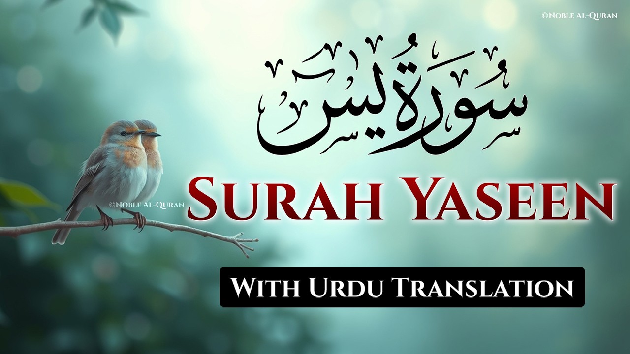 Surah Yasin | Surat Yaseen with Urdu Translation | Quran Tilawat Beautiful Voice | Urdu Tarjuma EP45