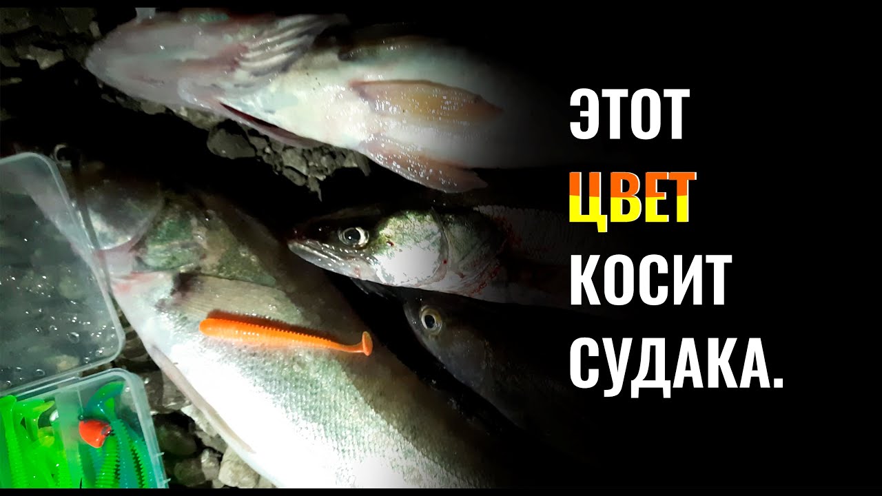 Этот цвет  приманки косит судака на Волге. Казань рыбалка на джиг, спиннинг.