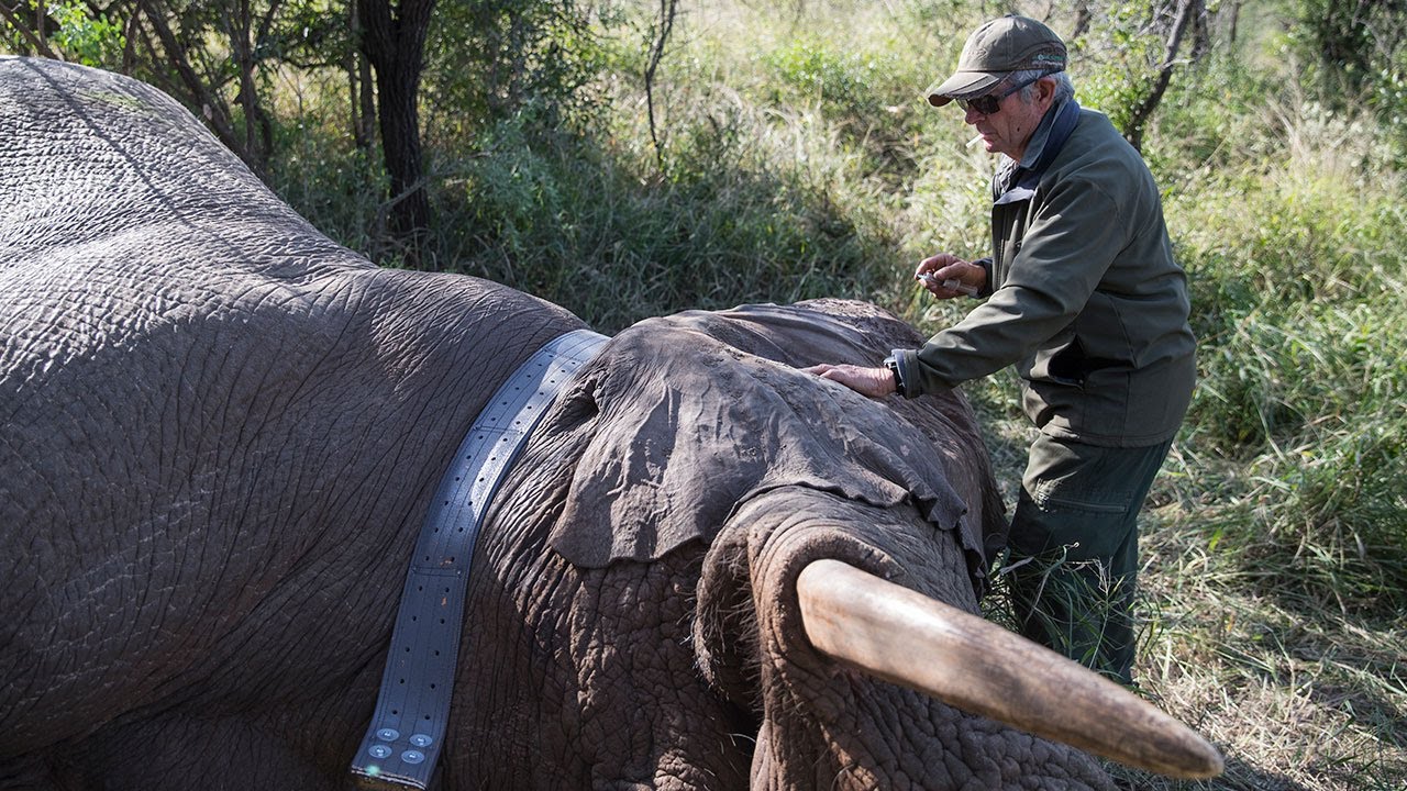 Charity Travel Conservation Trip