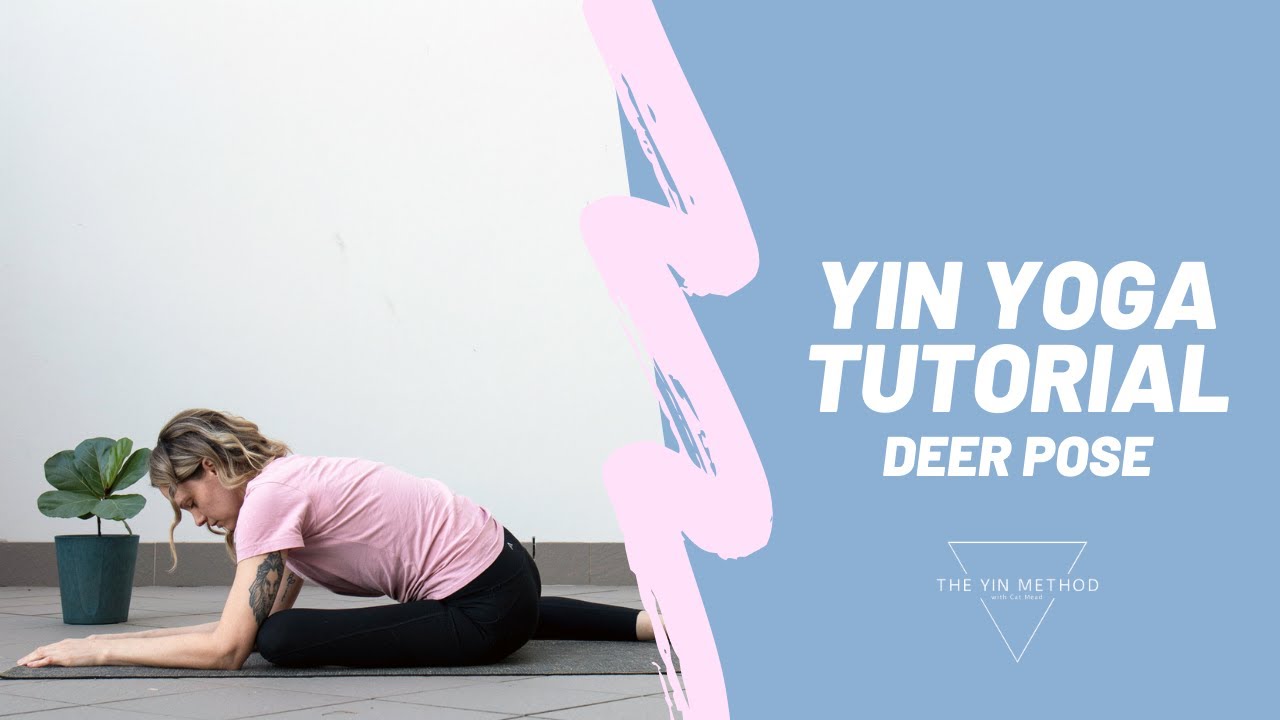 Yin Yoga Tutorial: Deer