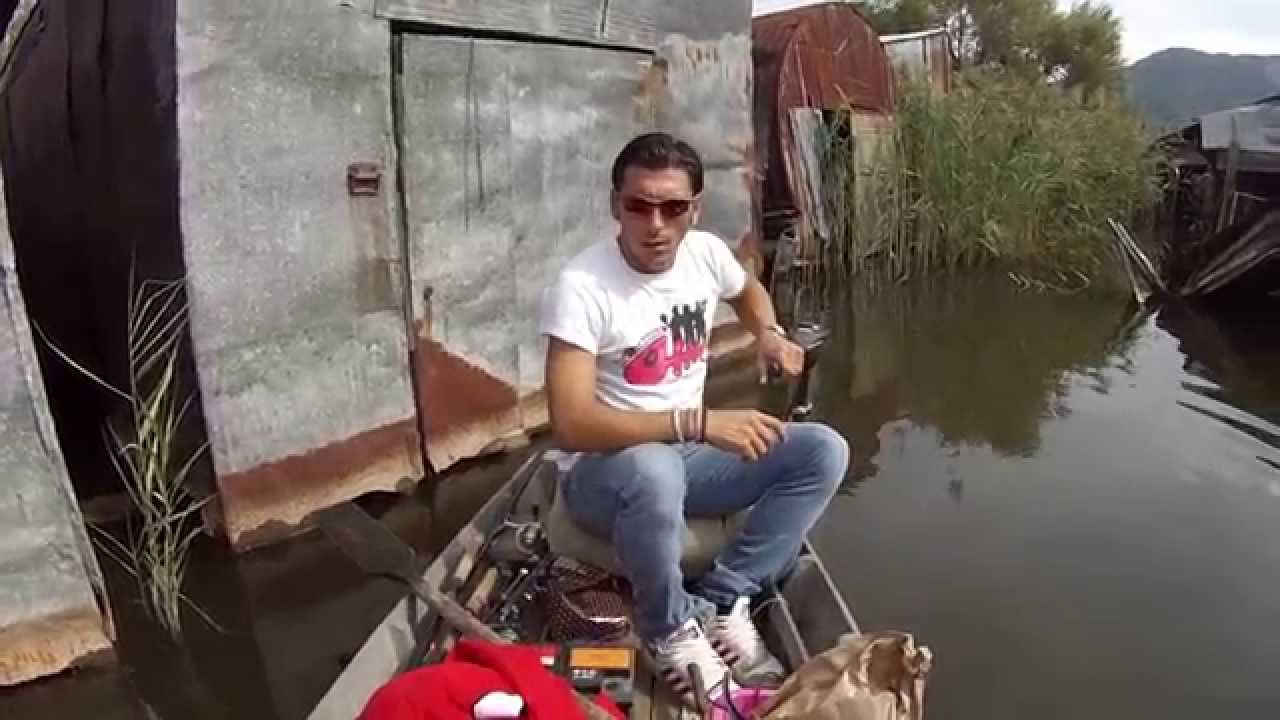 Bassman trogoloditi nel Massaciuccoli