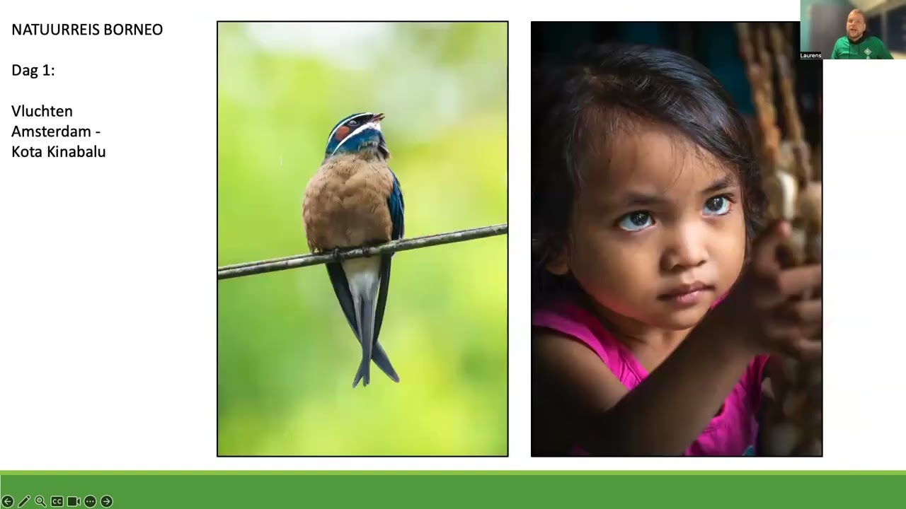 Presentatie Natuurreis Borneo 2026/2027