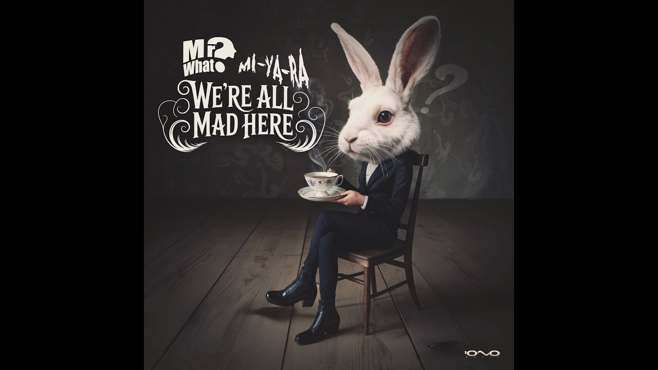 Mr What, Mi Ya Ra   We R All Mad Here Original Mix