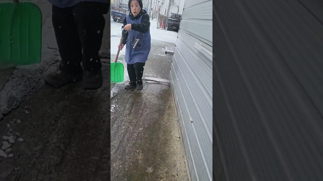 2월의 눈 영천역