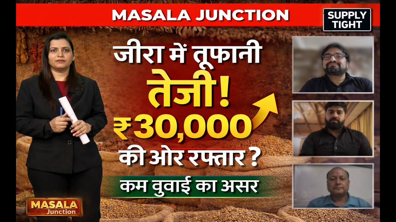 जीरा में तूफानी तेजी ! ₹30,000 की ओर रफ्तार ? #jeera #spices #turmeric #redchilli #masala