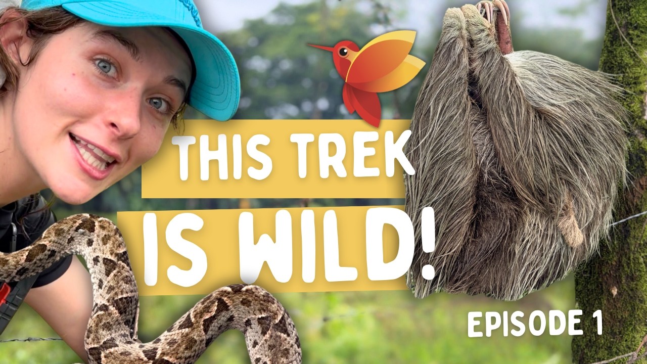 Starting the El Camino de Costa Rica 🇨🇷 Monkeys, Crocodiles & a Deadly Snake (Days 0–3)