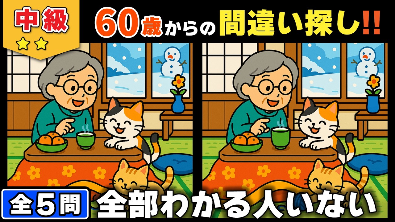 【脳トレ】間違い探し★中級編★全5問｜集中力が切れた人から脱落！？脳活テスト #179