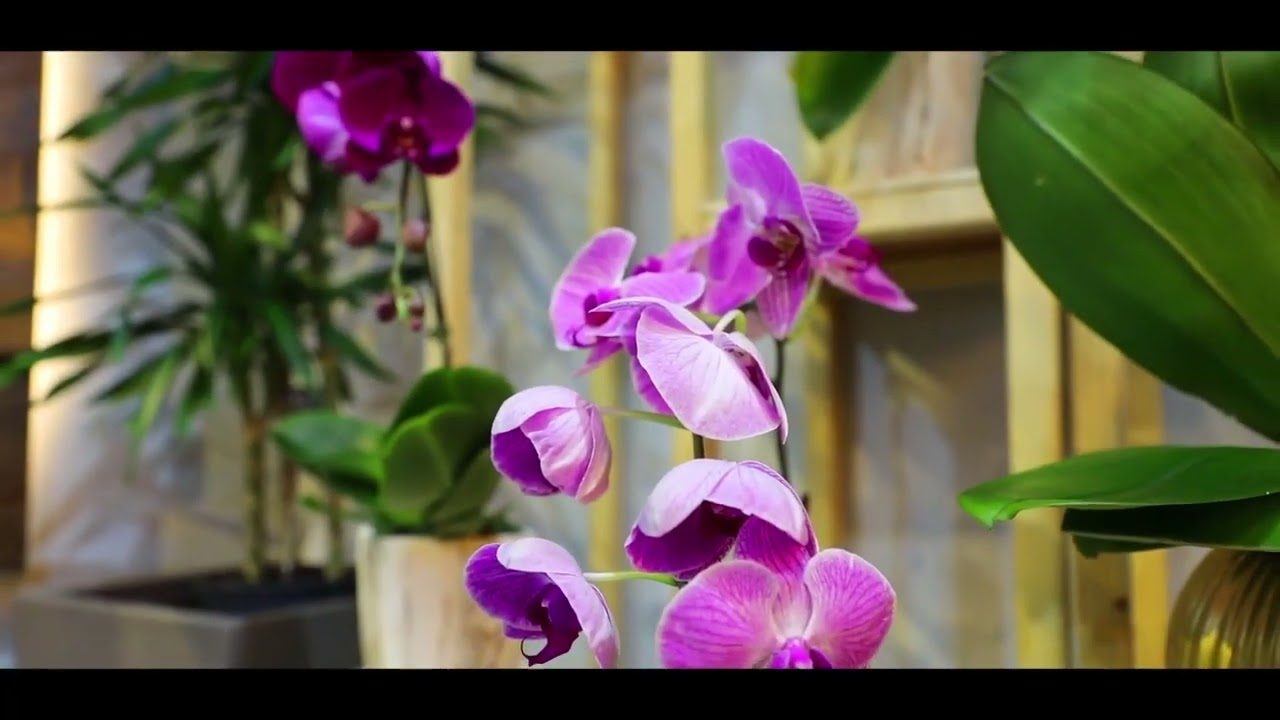 Blommarose I Flower Shop I Downtown Dubai