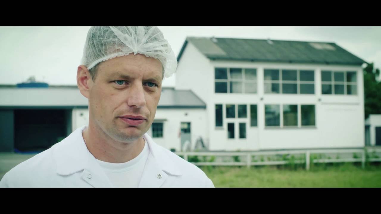 Henrik & Rygeosten – præsenteres af Netto og Løgismose