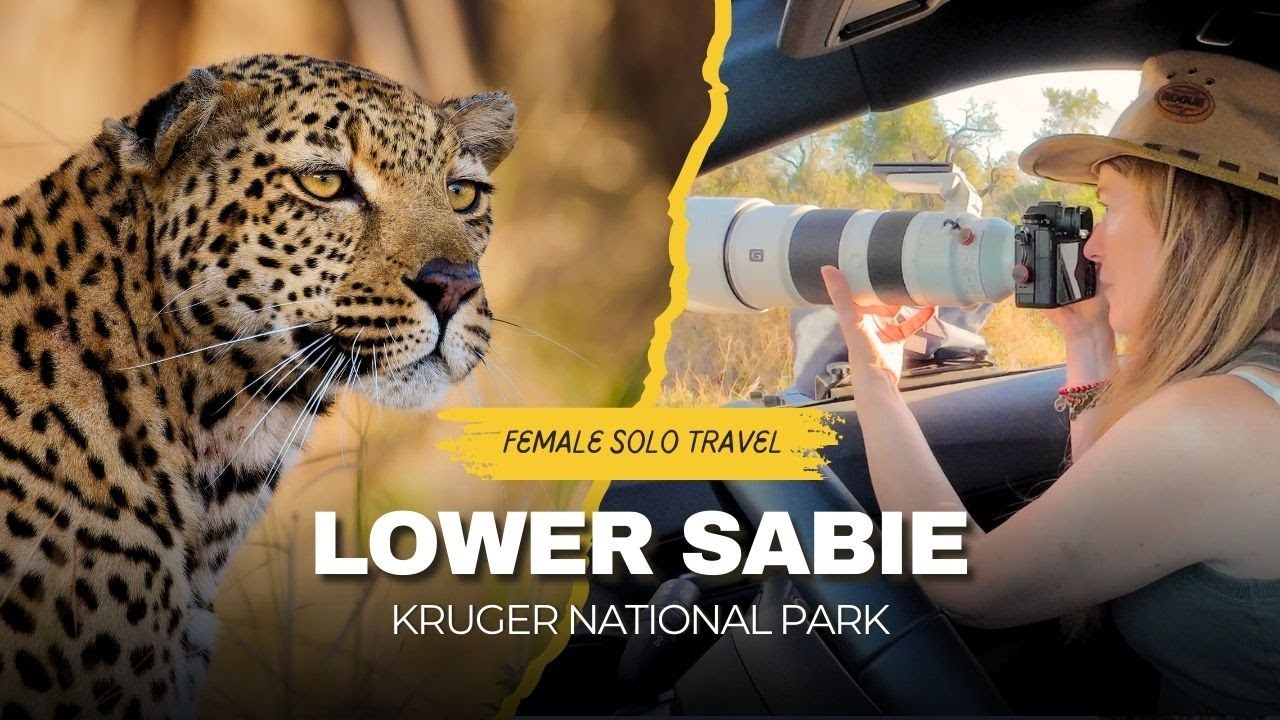 My.first leopard sighting made my FOMO disappear! Solo wildlife photo self drive Kruger Lower Sabie