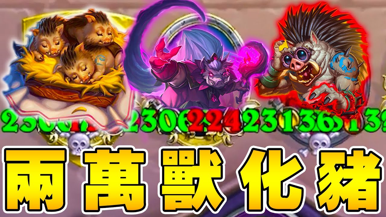 2萬3000🐗終極獸化の野豬人！金卡耐心理解...速開5星老闆還想騙!!!《爐石戰記:英雄戰場》Hearthstone Battlegrounds #1835