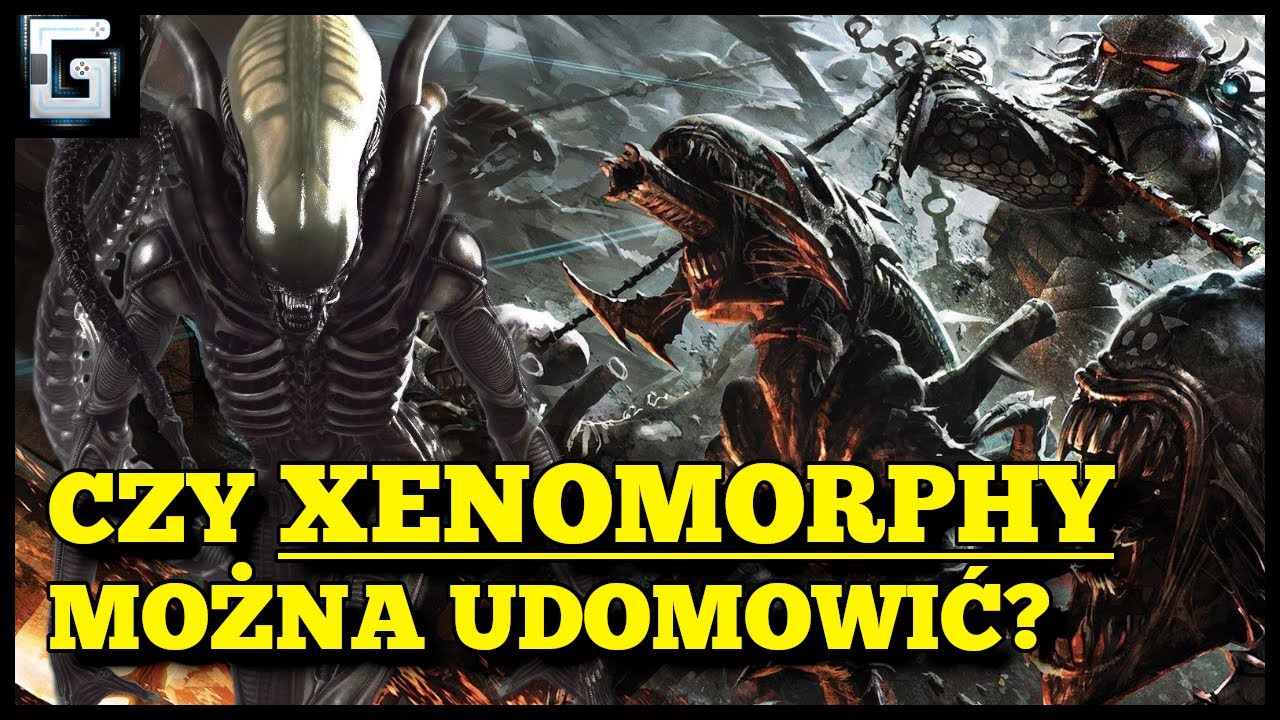 Czy Xenomorphy można udomowić?
