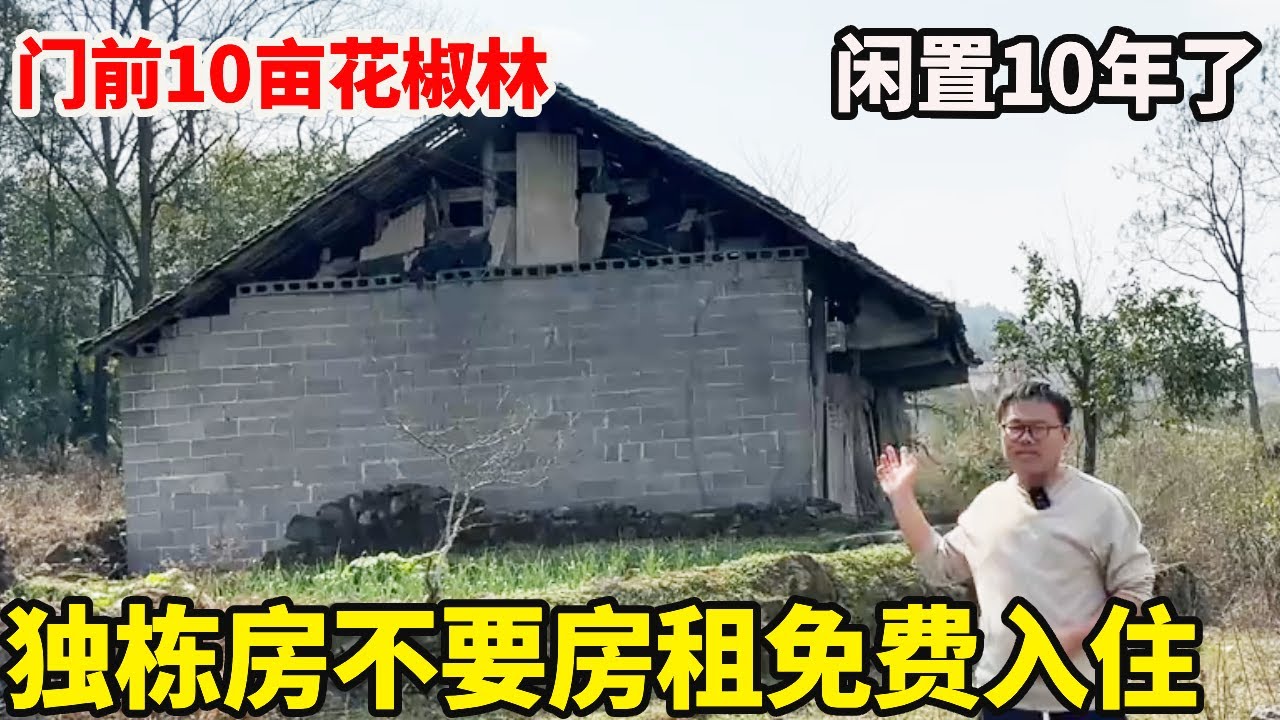 闲置10年独栋独院木房子，门前10亩花椒林，不要房租免费拎包入住【康居别院】