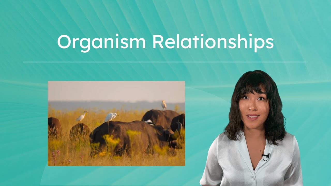 Organism Relationships - Types of Symbiosis
