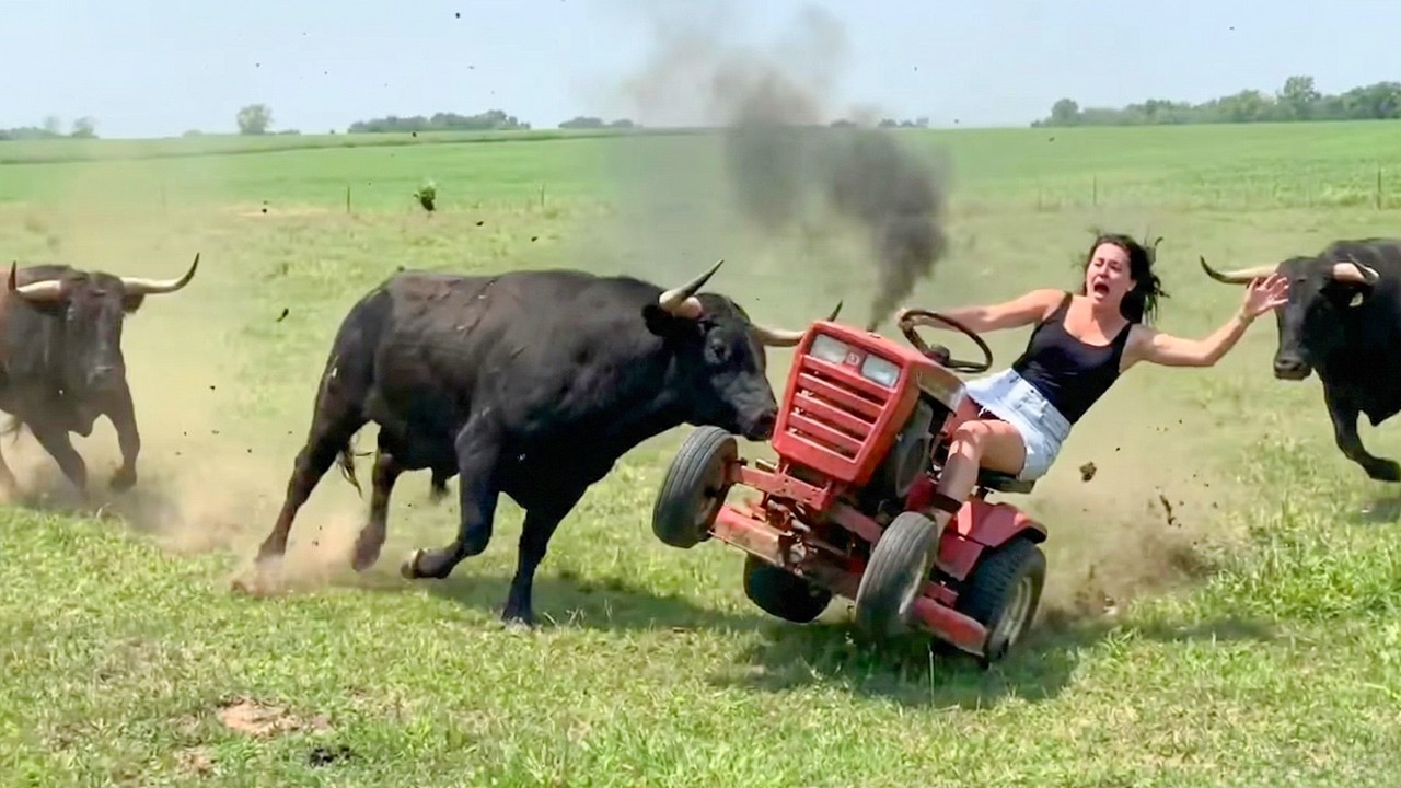 Best Farm Life Fails | Farm Animal & Tractor Fails