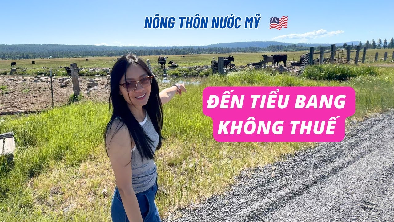Cả gia đình khám phá tiểu bang không thuế hàng hoá ở Mỹ