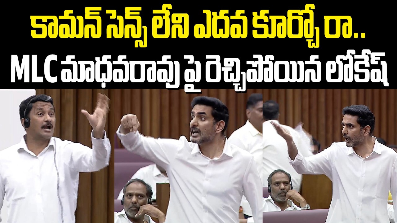 Nara Lokesh Fires On MLC Madhavarao కామన్ సెన్స్ లేని ఎదవ కూర్చో రా.. మాధవరావు పై రెచ్చిపోయిన లోకేష్