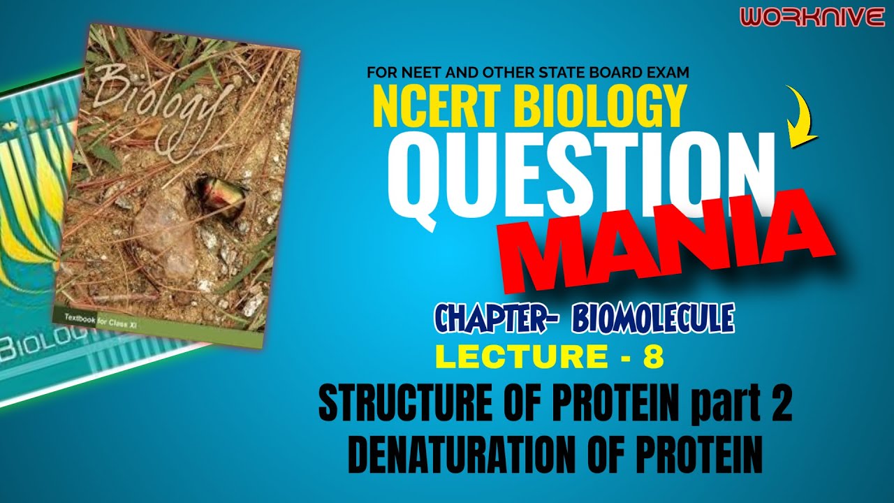 BIOMOLECULES | Lecture 8 l protein  structure  & denaturation of protein l NCERTNotes |NEET