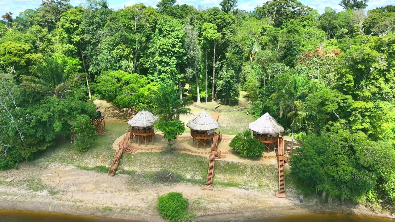 Kabalebo from the air (Suriname jungle)
