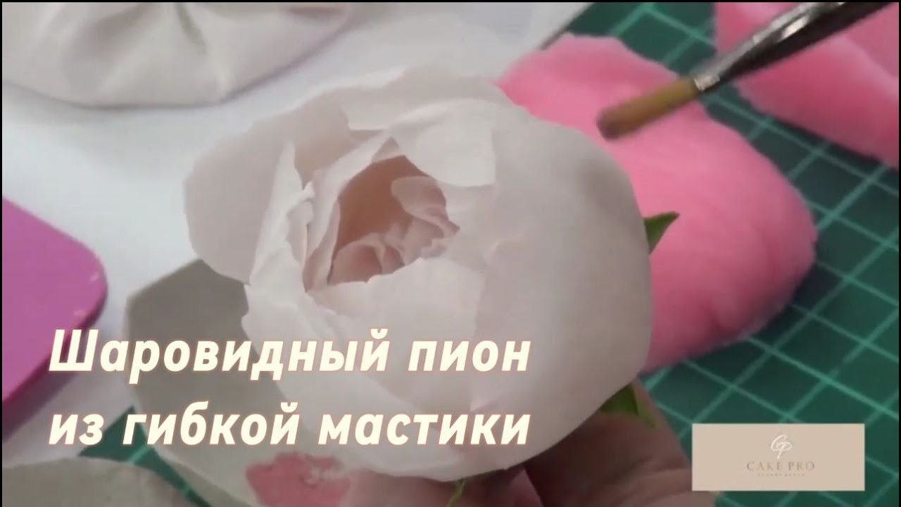 Шаровидный пион из гибкой мастики Елены Решетняк
