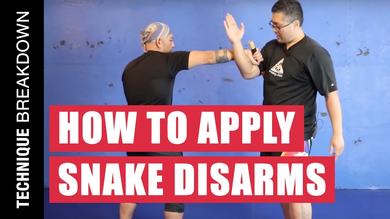 Snake Disarms in Filipino Martial Arts | Technique Breakdown EP 07