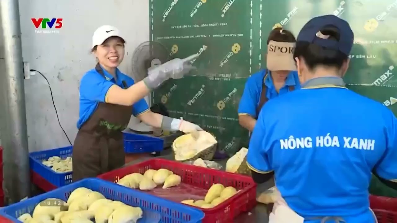 VTV5 - PHÓNG SỰ ỨNG DỤNG CÔNG NGHỆ ĐỂ NÂNG CAO GIÁ TRỊ NÔNG SẢN