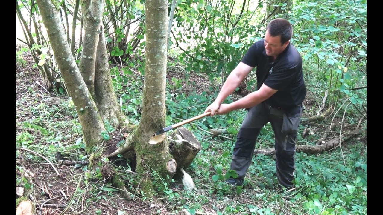 Can We Make A Chair From A Tree In A Day? Hand Tools Only.