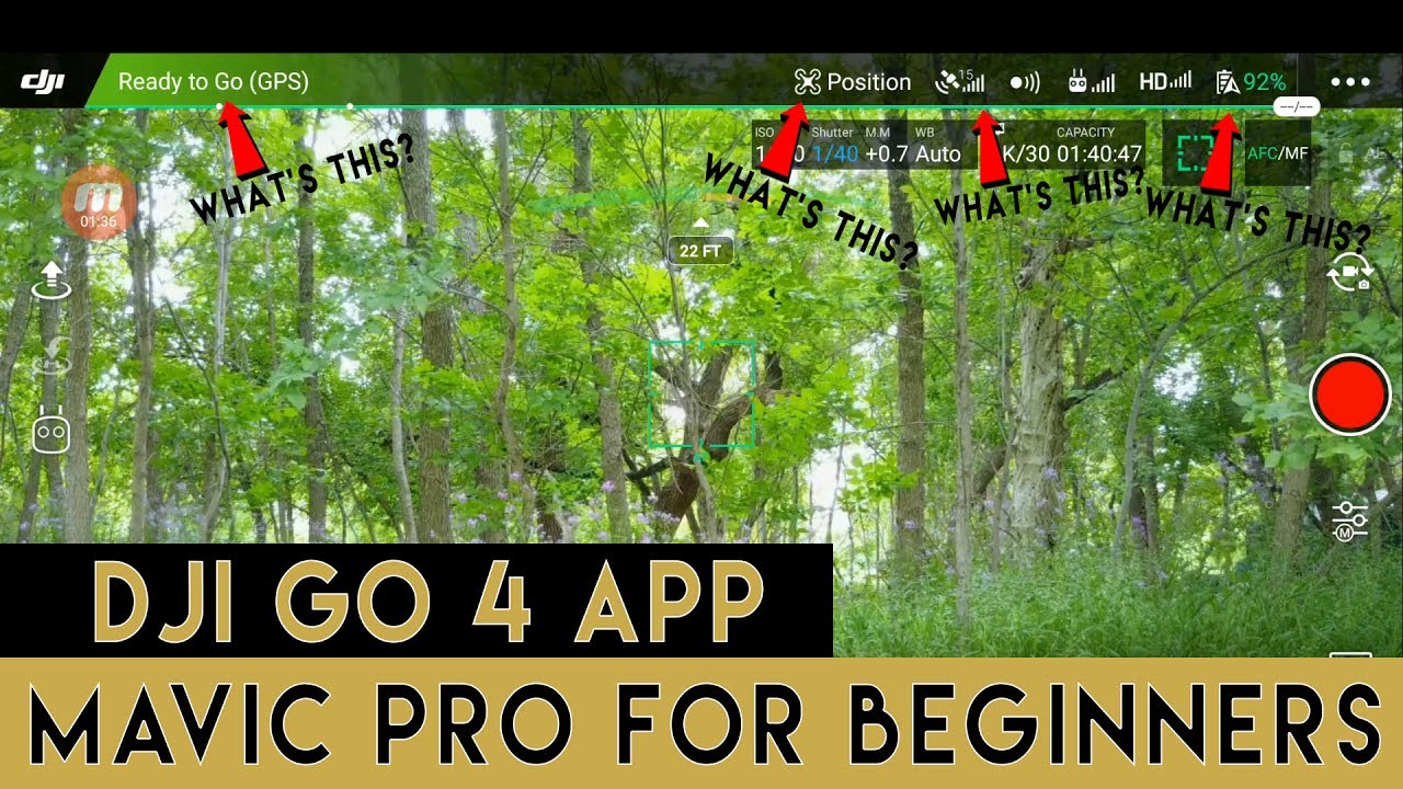 Mavic Pro для начинающих | Основы приложения DJI Go 4 | Часть 1