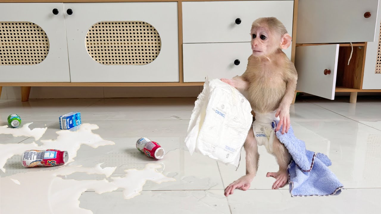 Surprise! Lucky Spilled Milk All Over the House: You’ll Be Amazed at How She Handled It!