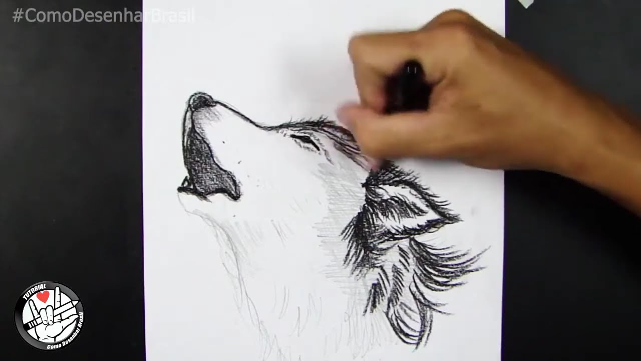 come disegnare un lupo passo dopo passo