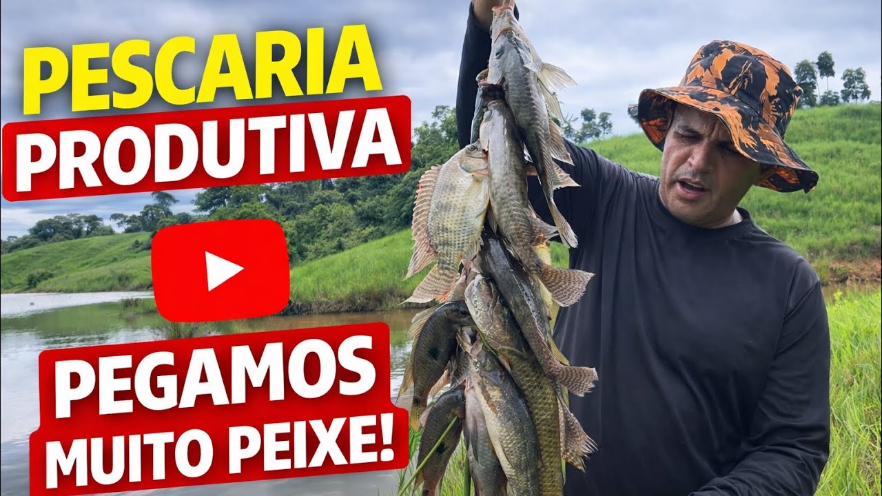 Esse lugar está lotado de peixe! Olha isso 😱