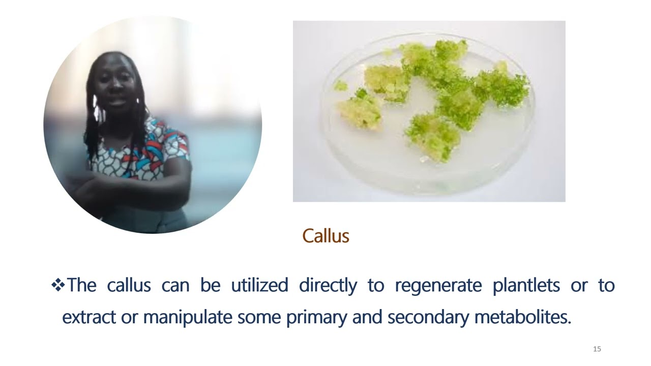 Application of biotechnology in Pharmacognosy_PART I