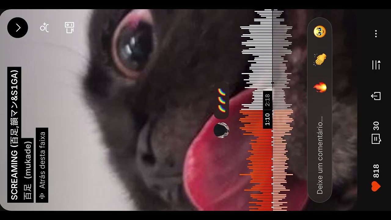 SCREAMING    百足 S1GA 韻マン