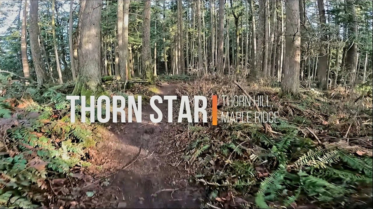 THORN STAR | Thornhill, Maple Ridge | Raw Footage