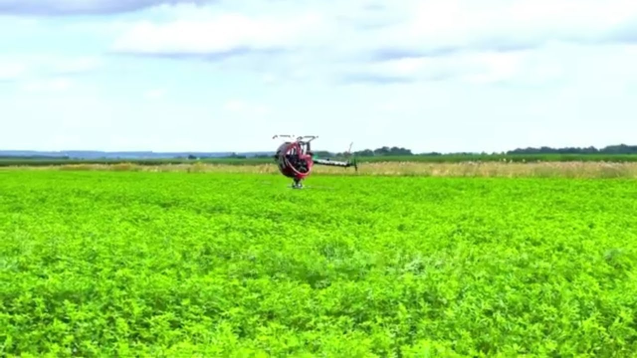 Rc heli is our passion! My great first year