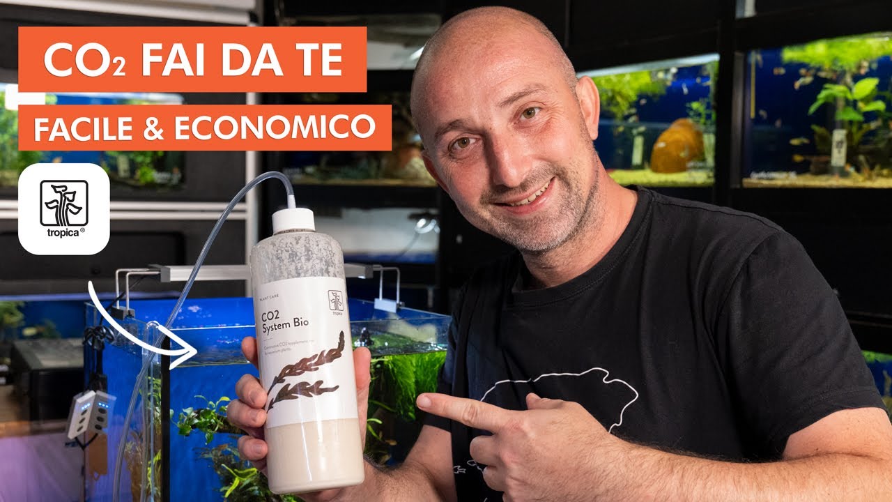 CO2 fai da te per acquari fino a 60 litri | Kit completo CO2 System Bio Tropica  (TUTORIAL)