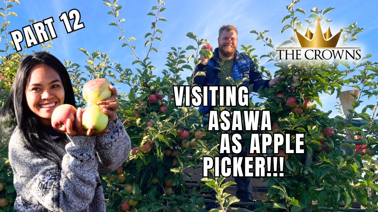 My first time seeing apple farm // WOW grabe an doming apples, eat all you can pa!!