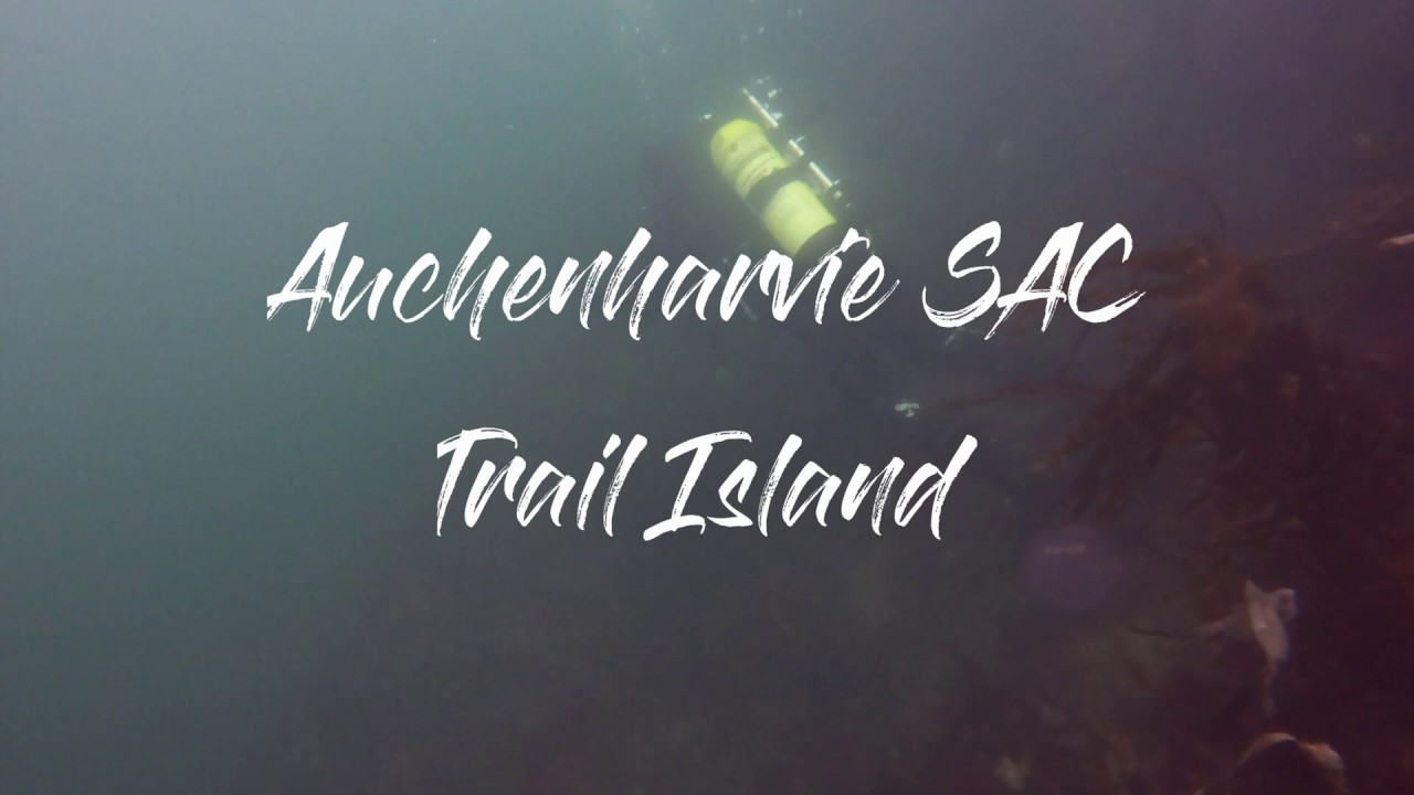 Trail Island - Auchenharvie Sub Aqua Club