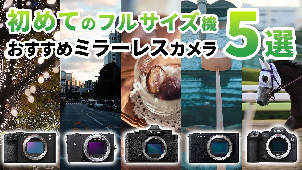 初めてのフルサイズ！おすすめカメラ5選【フジヤカメラ店】