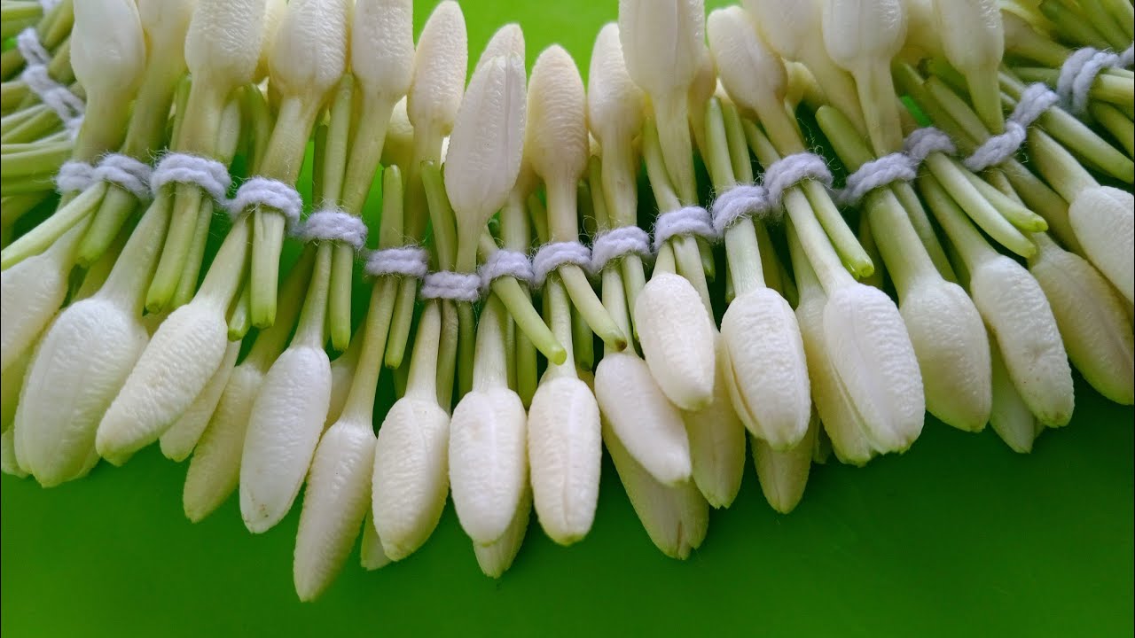 Easy trick in mullai poo garland/flower garland step to step easy method