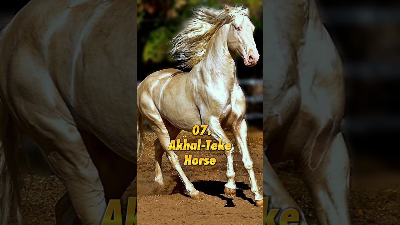 Top 10 Most Beautiful Animals in the World
